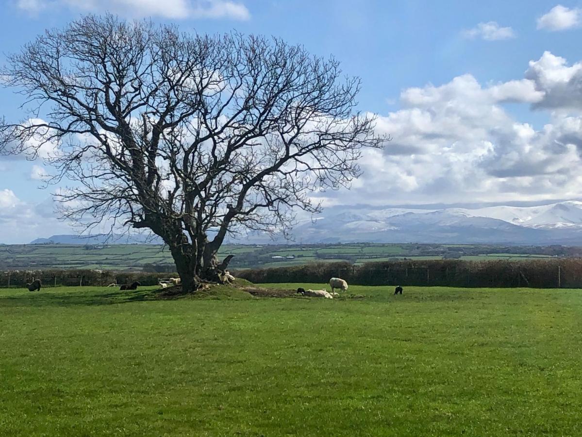 Villa Drosgl Llangefni Esterno foto